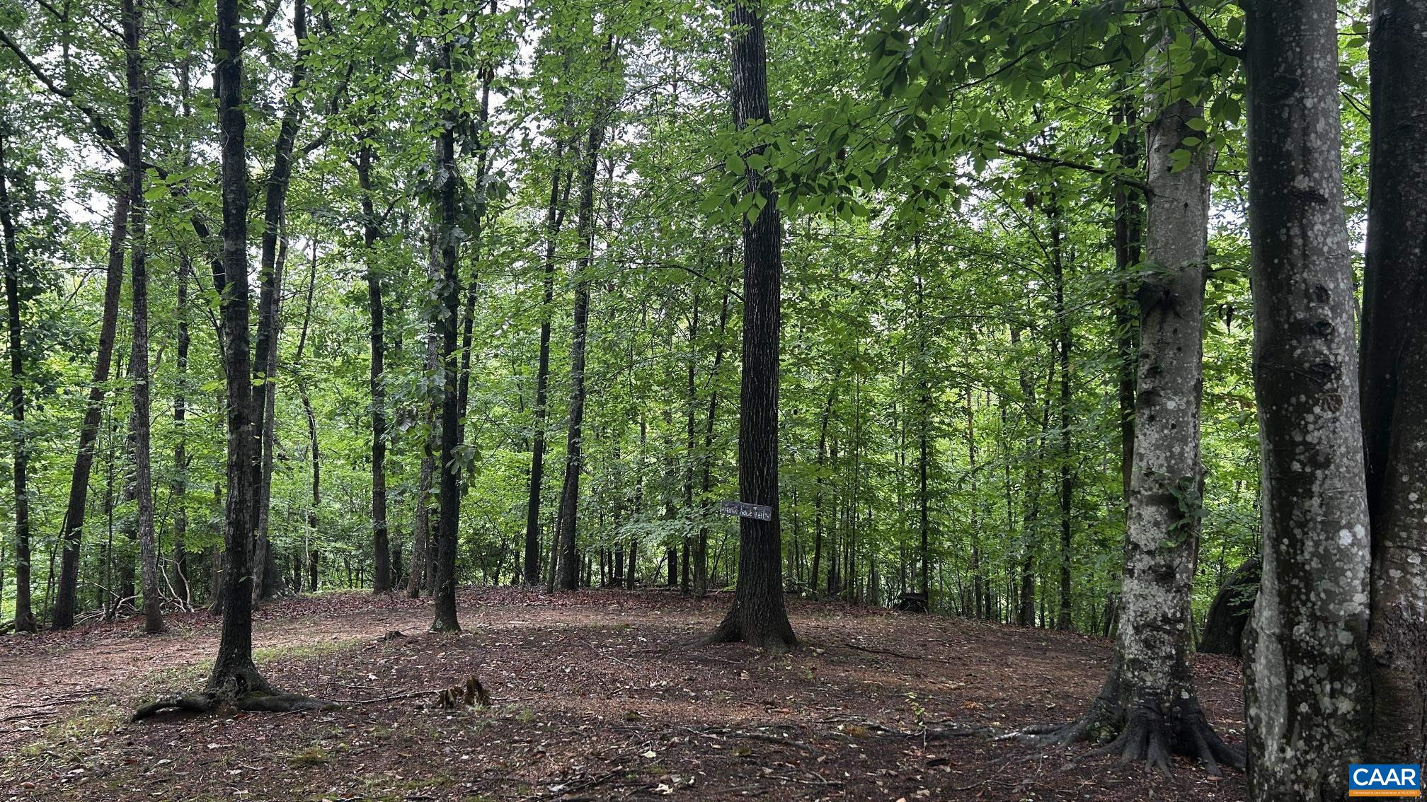 1089 Broken Island Road Palmyra, VA 22963 - Photo 64 of 75 A great walk in the Woods