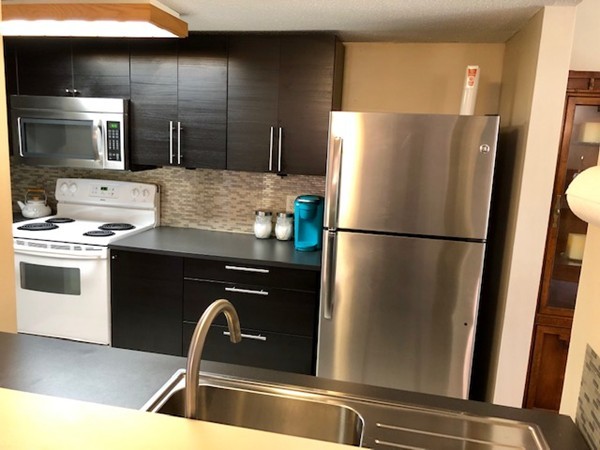 253 Trailside Way, Unit 253 Ashland, MA 01721 - Photo 4 of 18