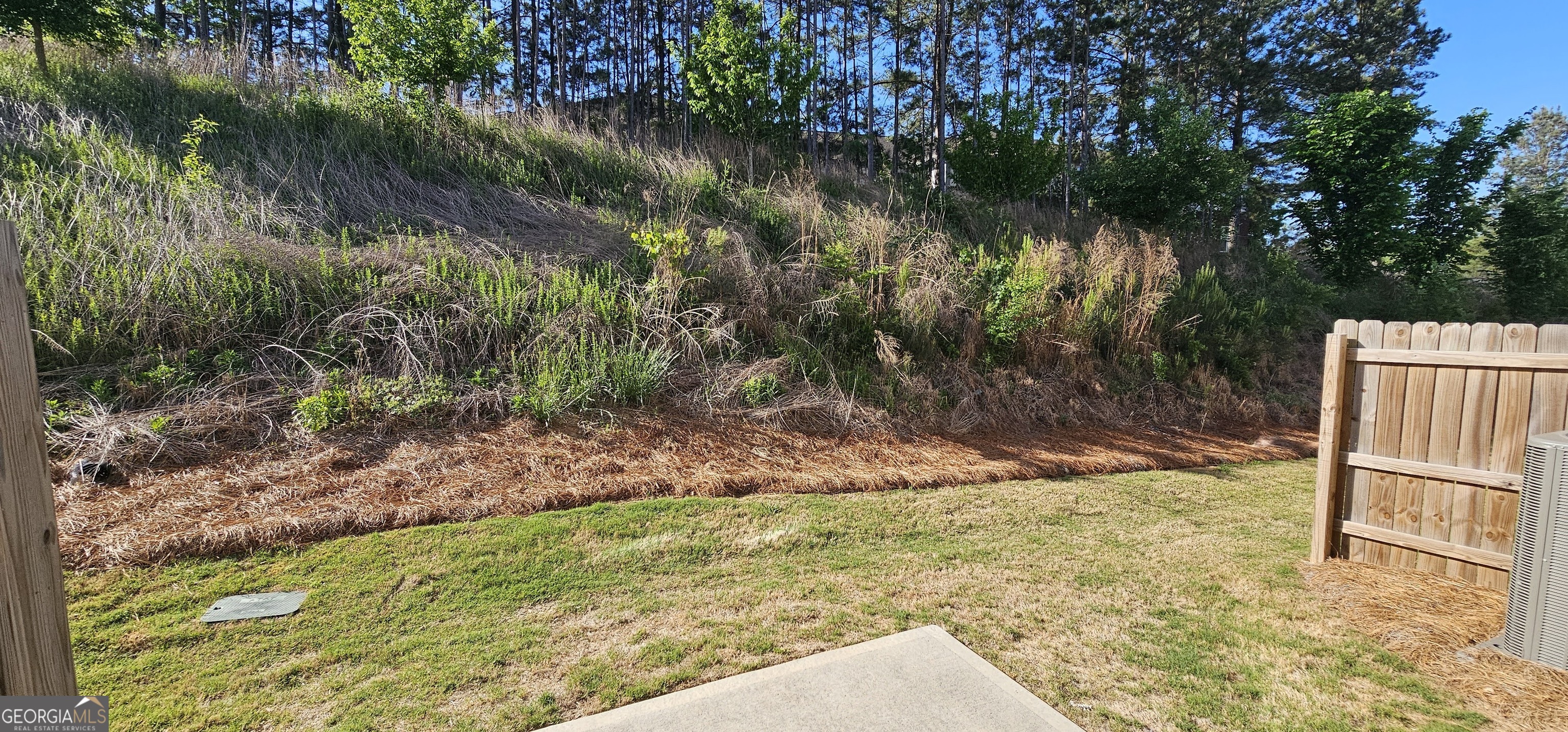 3488 Cardinal Drive Southwest Atlanta, GA 30331 - Photo 9 of 24 a view of a yard with plants