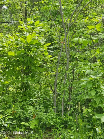 $389,900 | 1644 Rector Road, Glenville, NY 12302