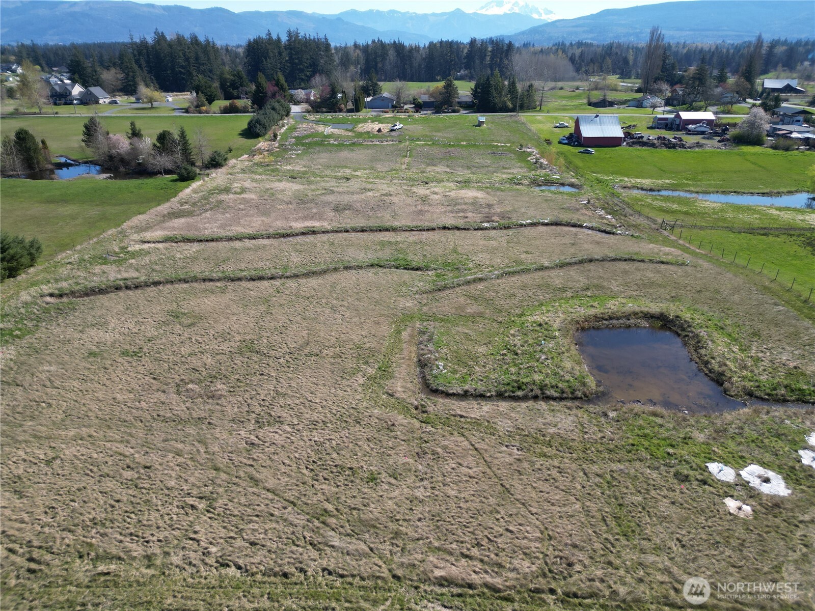 5351 Dinkle Road Bellingham, WA 98226 - Photo 4 of 21 a view of a backyard