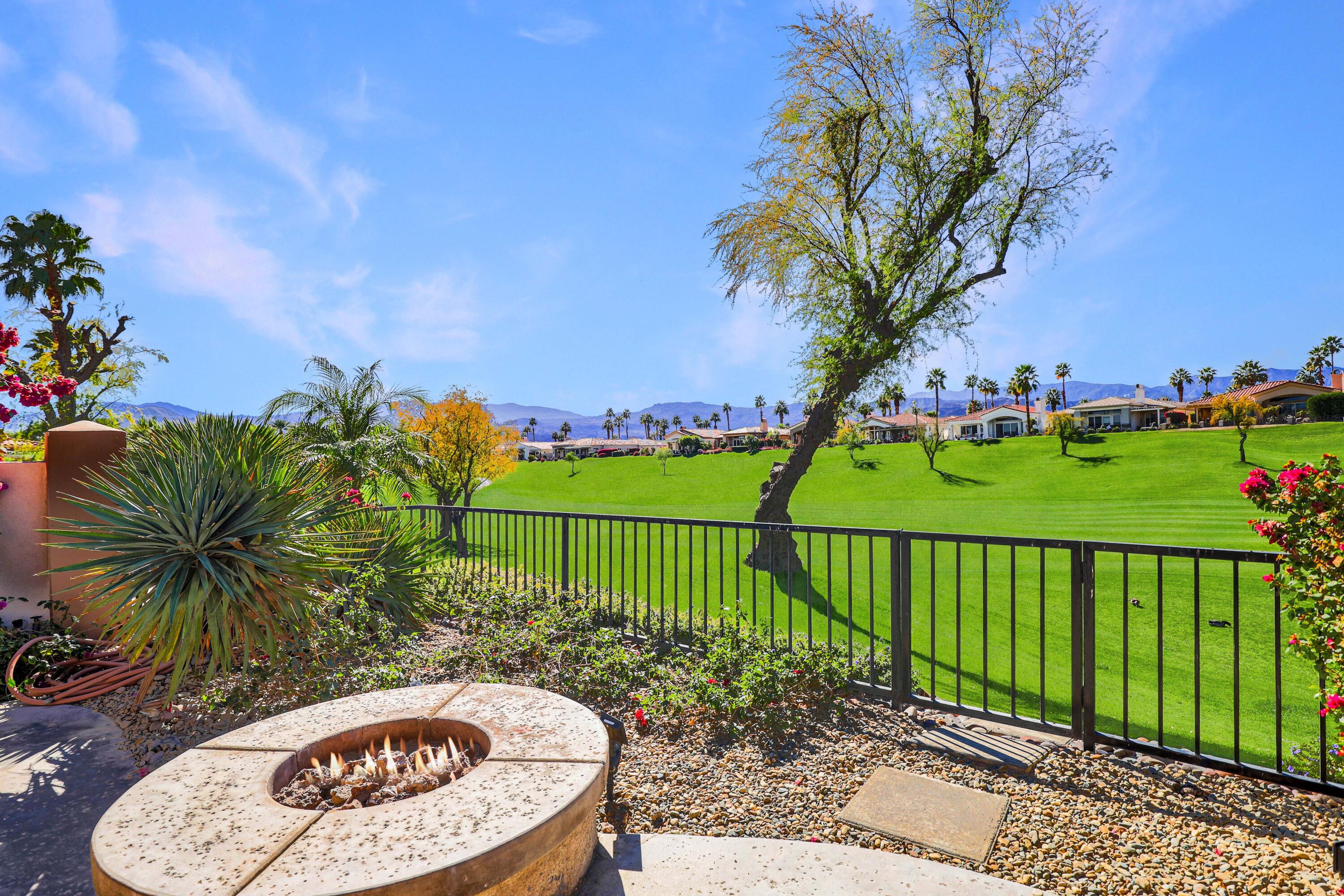 371 Tomahawk Drive Palm Desert, CA 92211 - Photo 32 of 34 a view of a garden with a flower in a garden