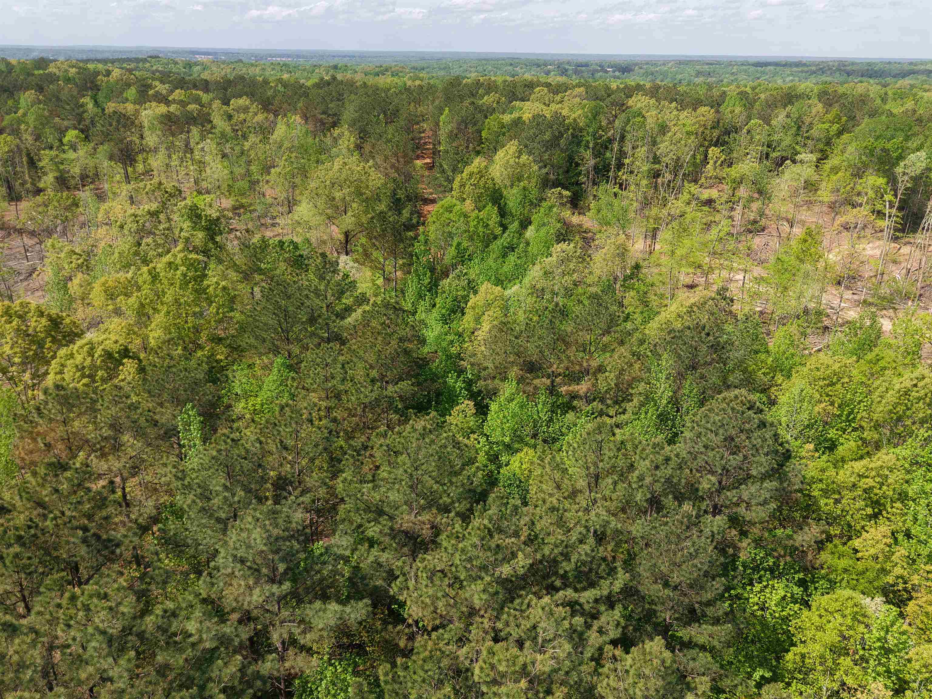 0 Maroney Road Medon, TN 38356 - Photo 31 of 37 Gallery Image 31