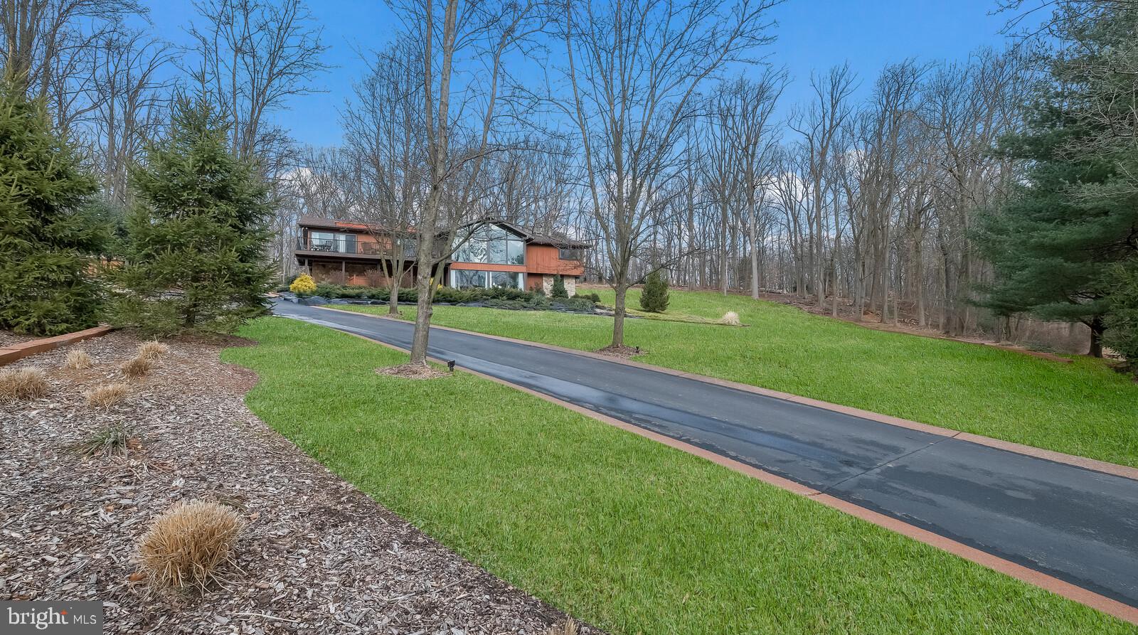 233 Painter Road Media, PA 19063 - Photo 9 of 84 Tree lined driveway with up lighting