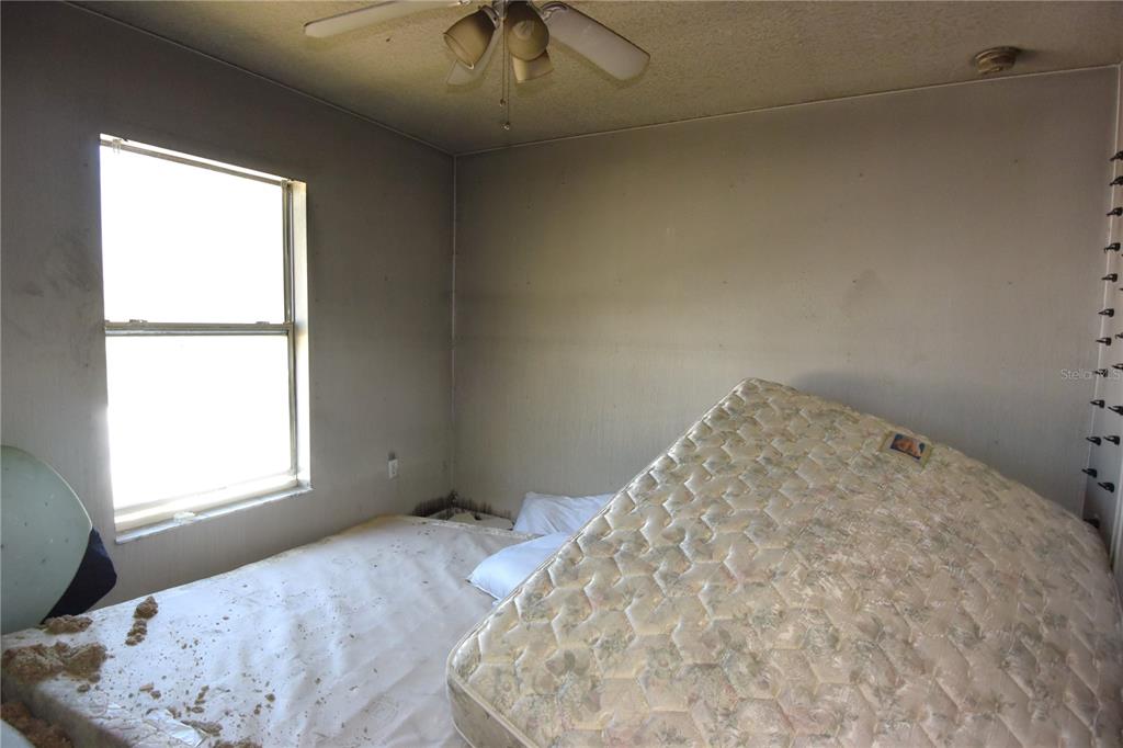 7253 Lamplighter Street Spring Hill, FL 34606 - Photo 19 of 29