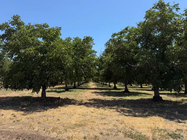 $1,815,830 | 0 Putah Creek Road, Winters, CA 95694