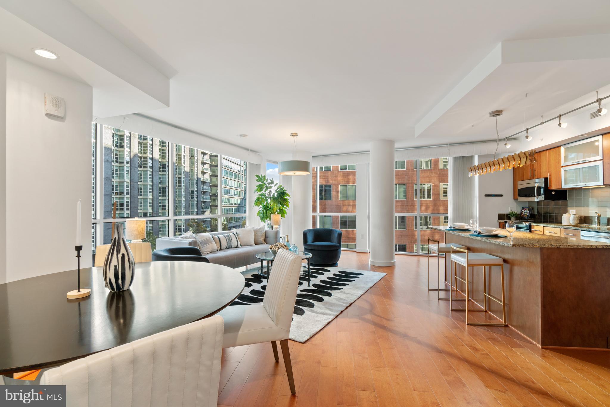 1025 First Street Southeast, Unit 513 Washington, DC 20003 - Photo 4 of 25