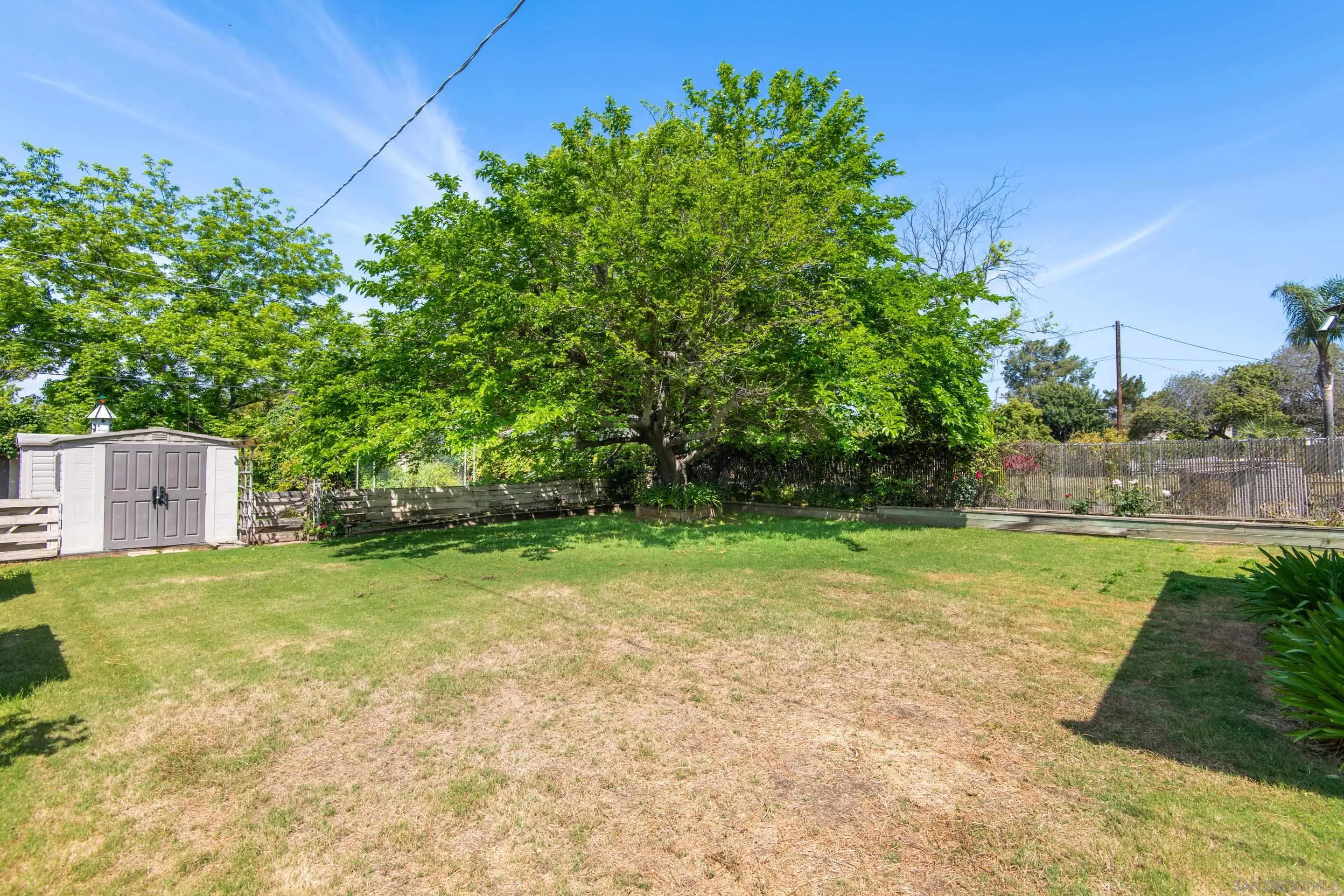 486 Murray Drive El Cajon, CA 92020 - Photo 23 of 23 a backyard of a house with plants and large trees