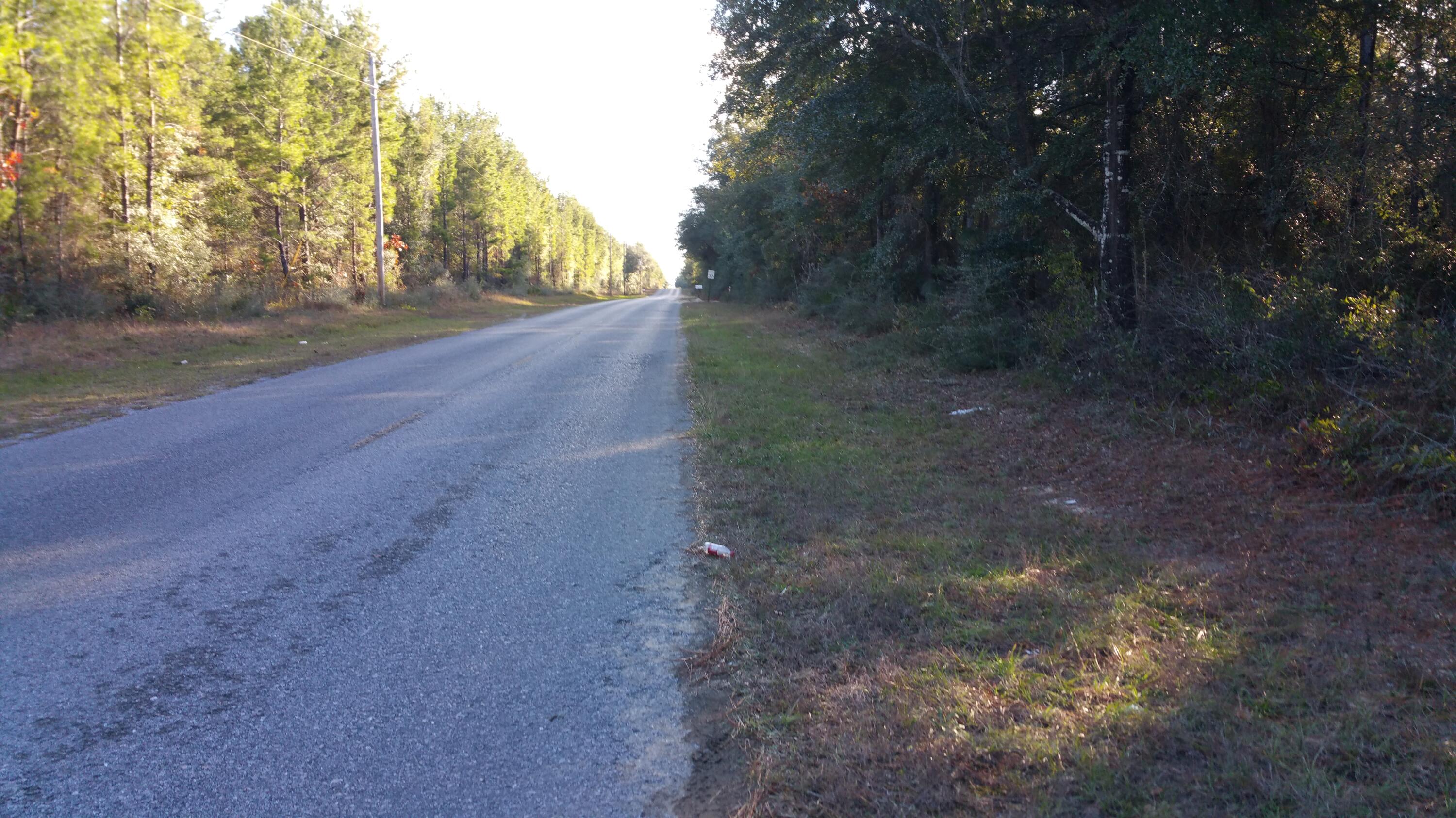 990 Trawick Creek Road Holt, FL 32564 - Photo 1 of 4 View down Trawick Creek Road