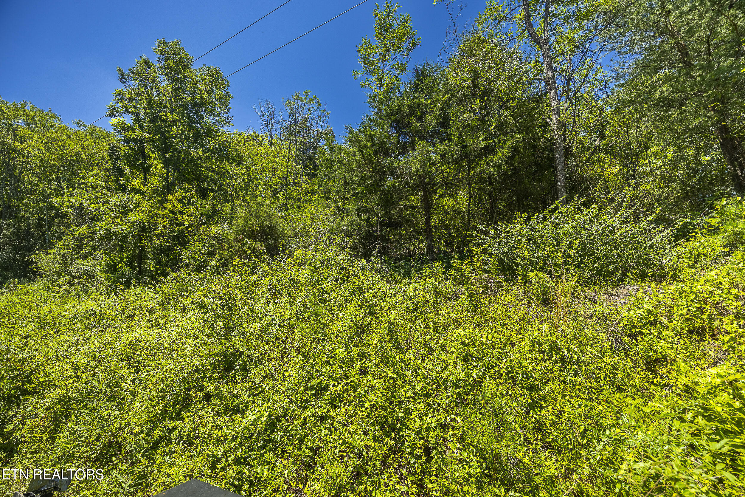 Raejon Way Sevierville, TN 37862 - Photo 9 of 39 006A7371-HDR