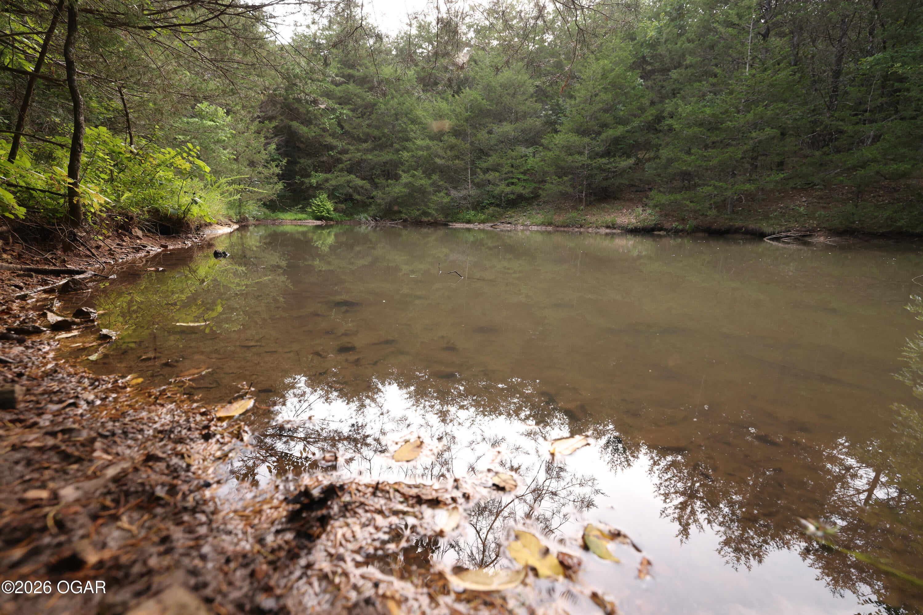 861 Tilden Road Galena, MO 65656 - Photo 29 of 67 Gallery Image 29