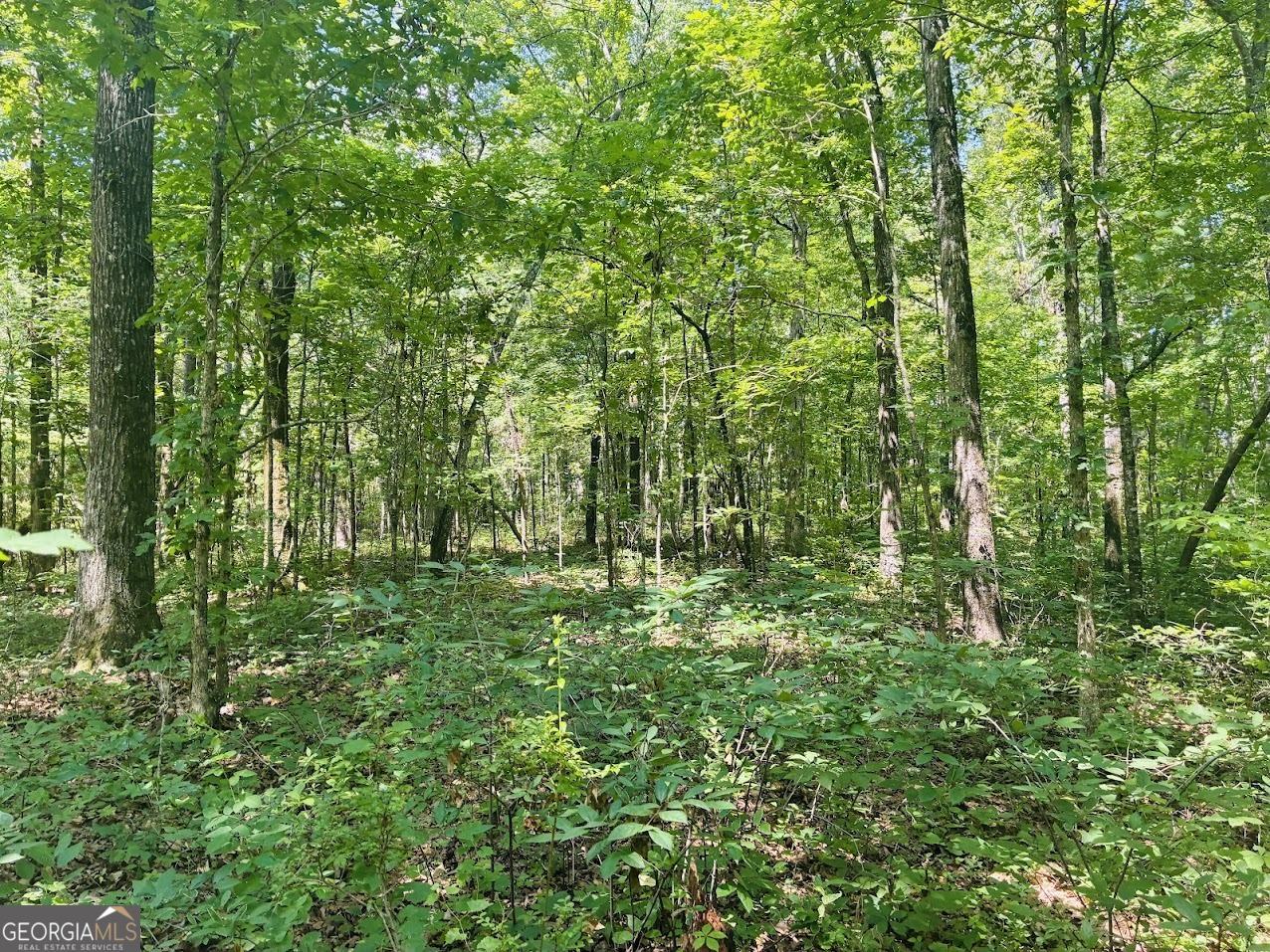 0 Forest Glen Road, Unit A Sylacauga, AL 35151 - Photo 17 of 34