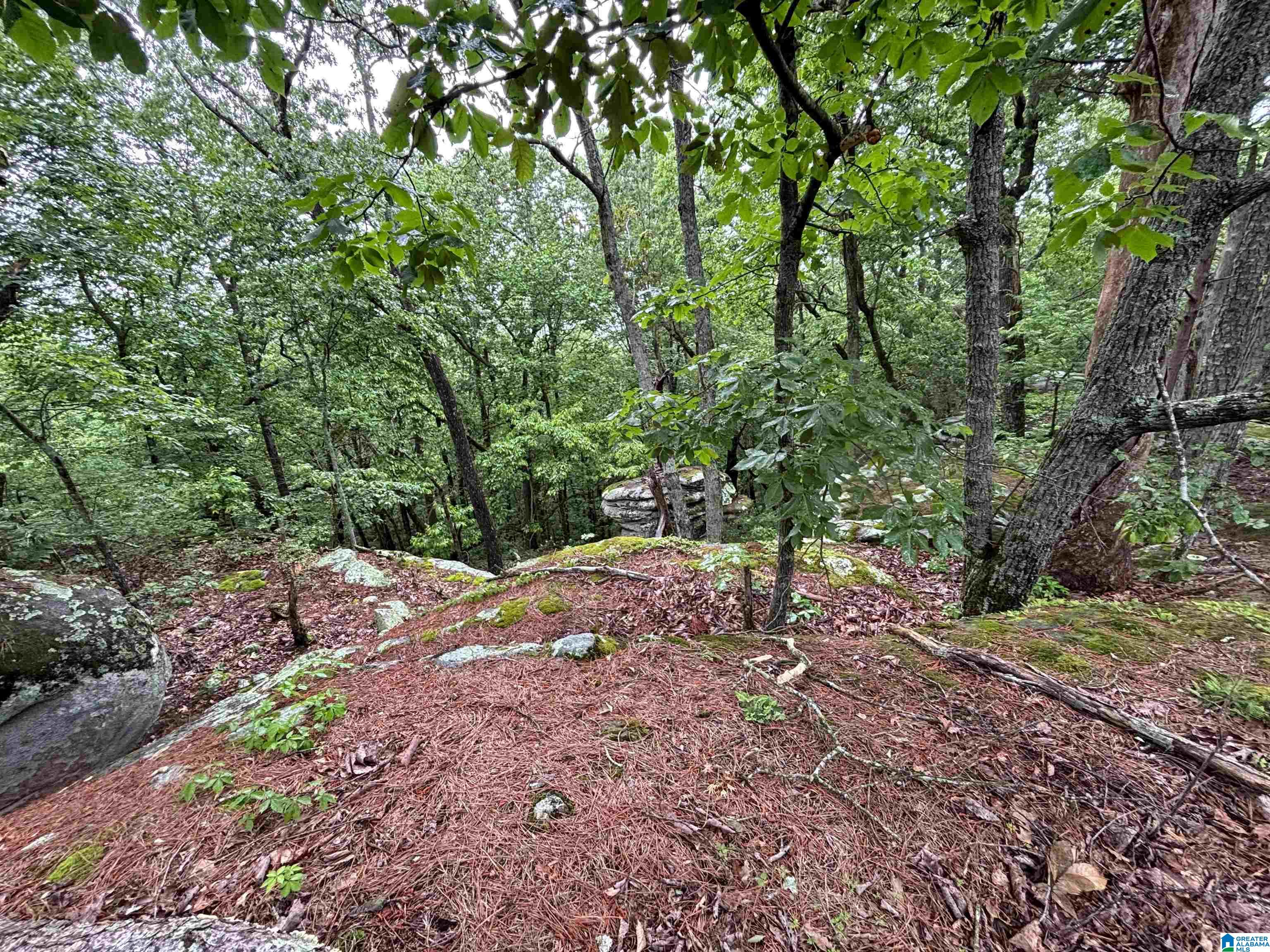 0 Bright Star Road, Unit 123 / ACRES Horton, AL 35980 - Photo 12 of 21