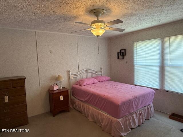 653 Lee Shirley Road Maryville, TN 37801 - Photo 11 of 16 IMG_6553