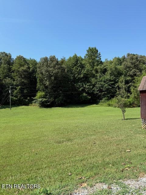 653 Lee Shirley Road Maryville, TN 37801 - Photo 13 of 16 IMG_6564