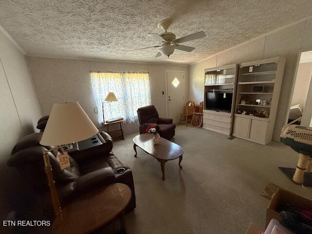 653 Lee Shirley Road Maryville, TN 37801 - Photo 4 of 16 IMG_6559