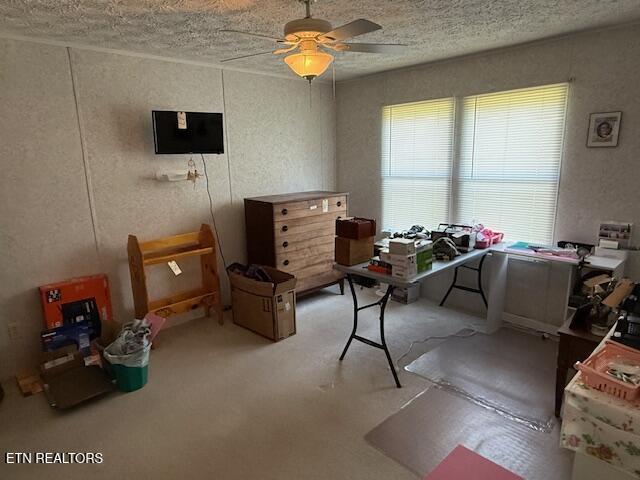 653 Lee Shirley Road Maryville, TN 37801 - Photo 7 of 16 IMG_6555