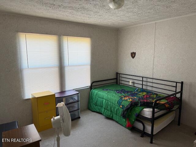 653 Lee Shirley Road Maryville, TN 37801 - Photo 10 of 16 IMG_6561