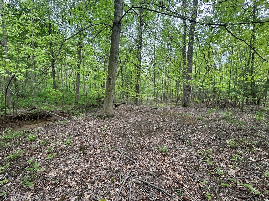 Wesley Chapel Mount Mount Perry, OH 43760 - Photo 8 of 15