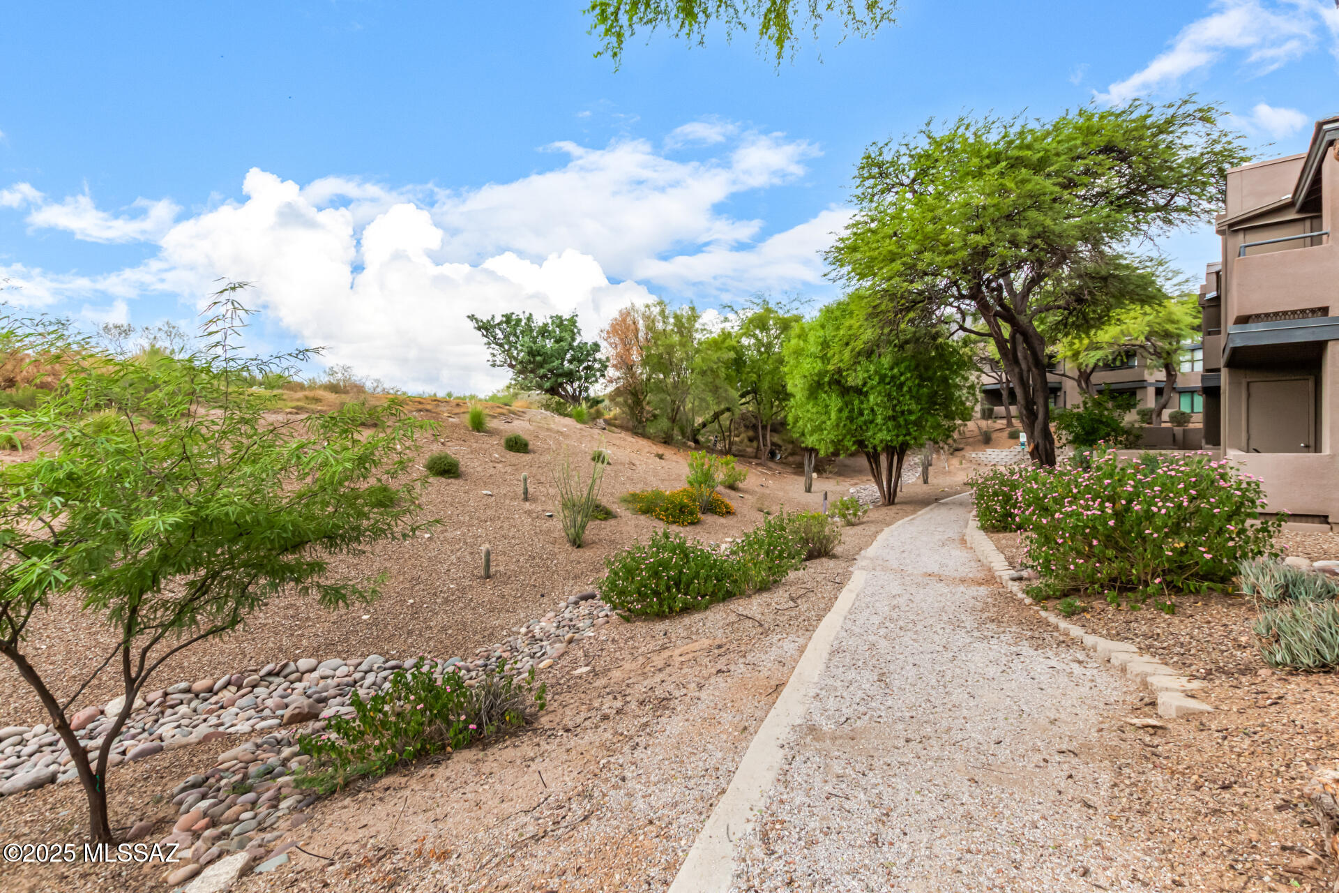 5855 North Kolb Road, Unit 8102 Tucson, AZ 85750 - Photo 24 of 28 a view of a pathway with a yard