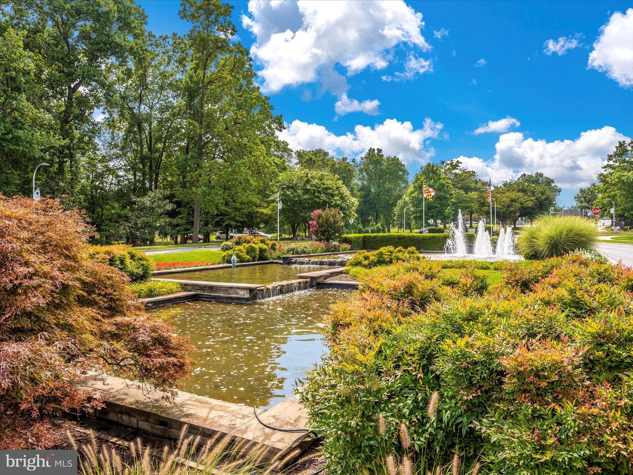 15101 Interlachen Drive, Unit 1116 Silver Spring, MD 20906 - Photo 61 of 78 a swimming pool with trees in the background