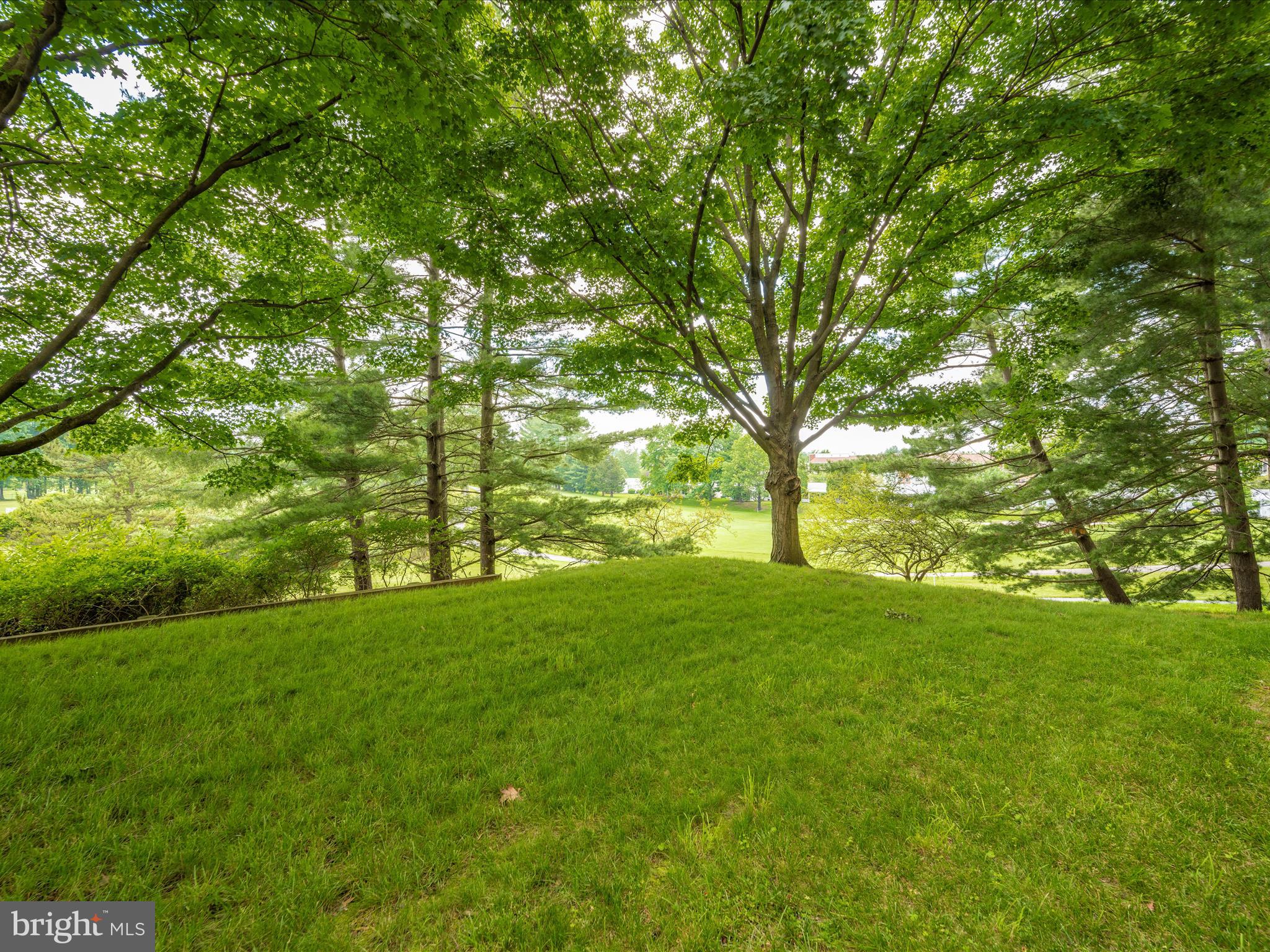 15101 Interlachen Drive, Unit 1116 Silver Spring, MD 20906 - Photo 75 of 78 Exterior Back