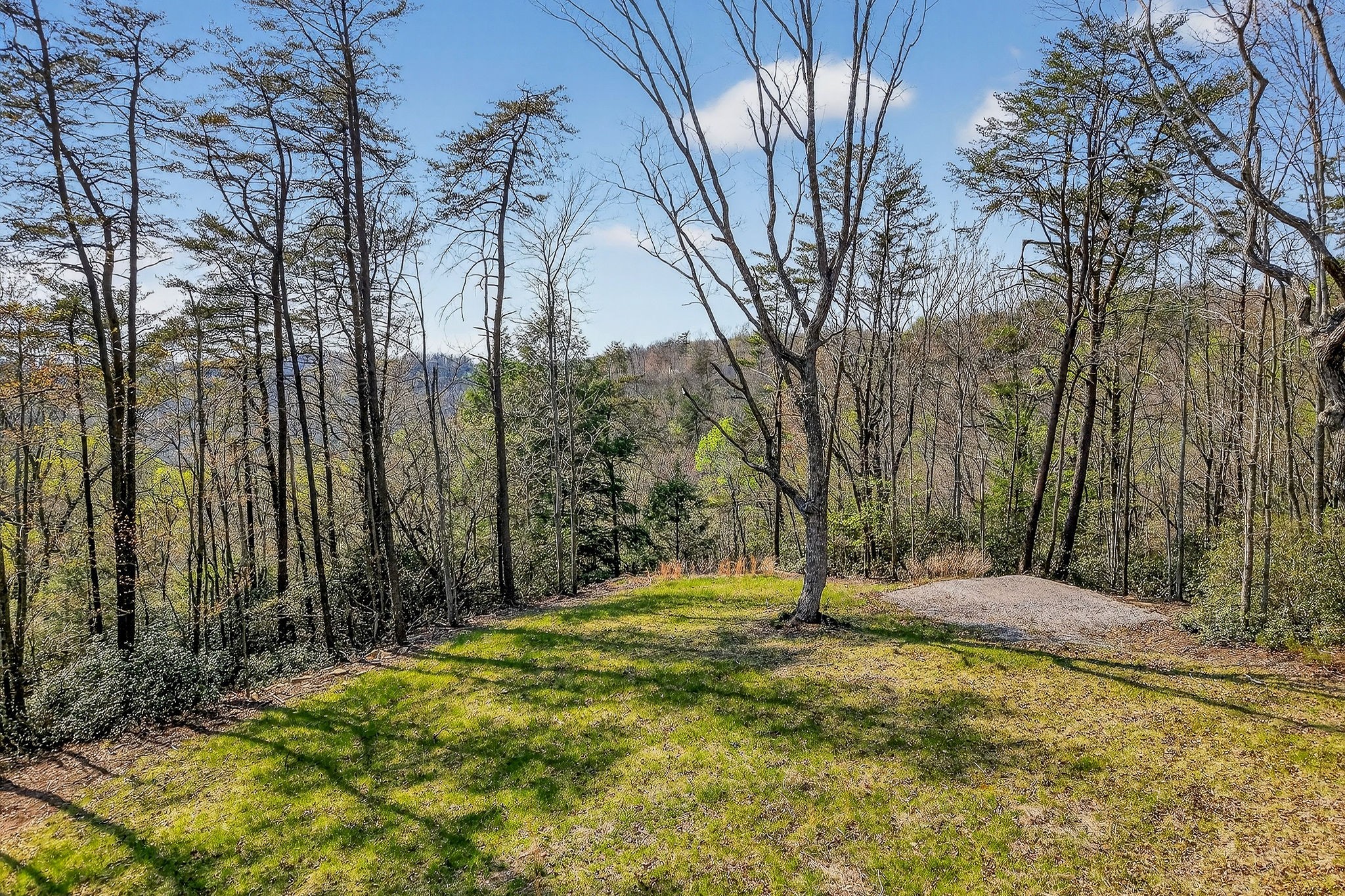 31 Reeves Place Monterey, TN 38574 - Photo 47 of 74