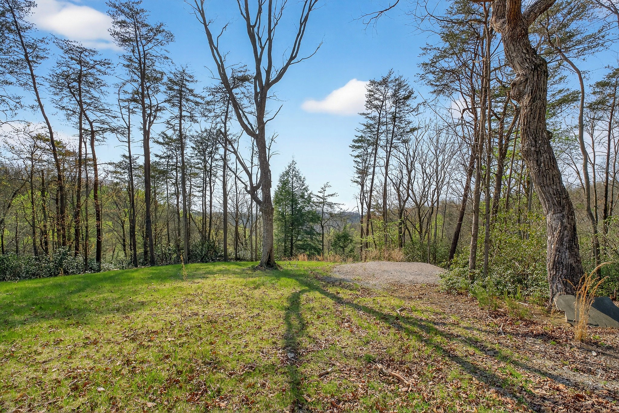 31 Reeves Place Monterey, TN 38574 - Photo 68 of 74