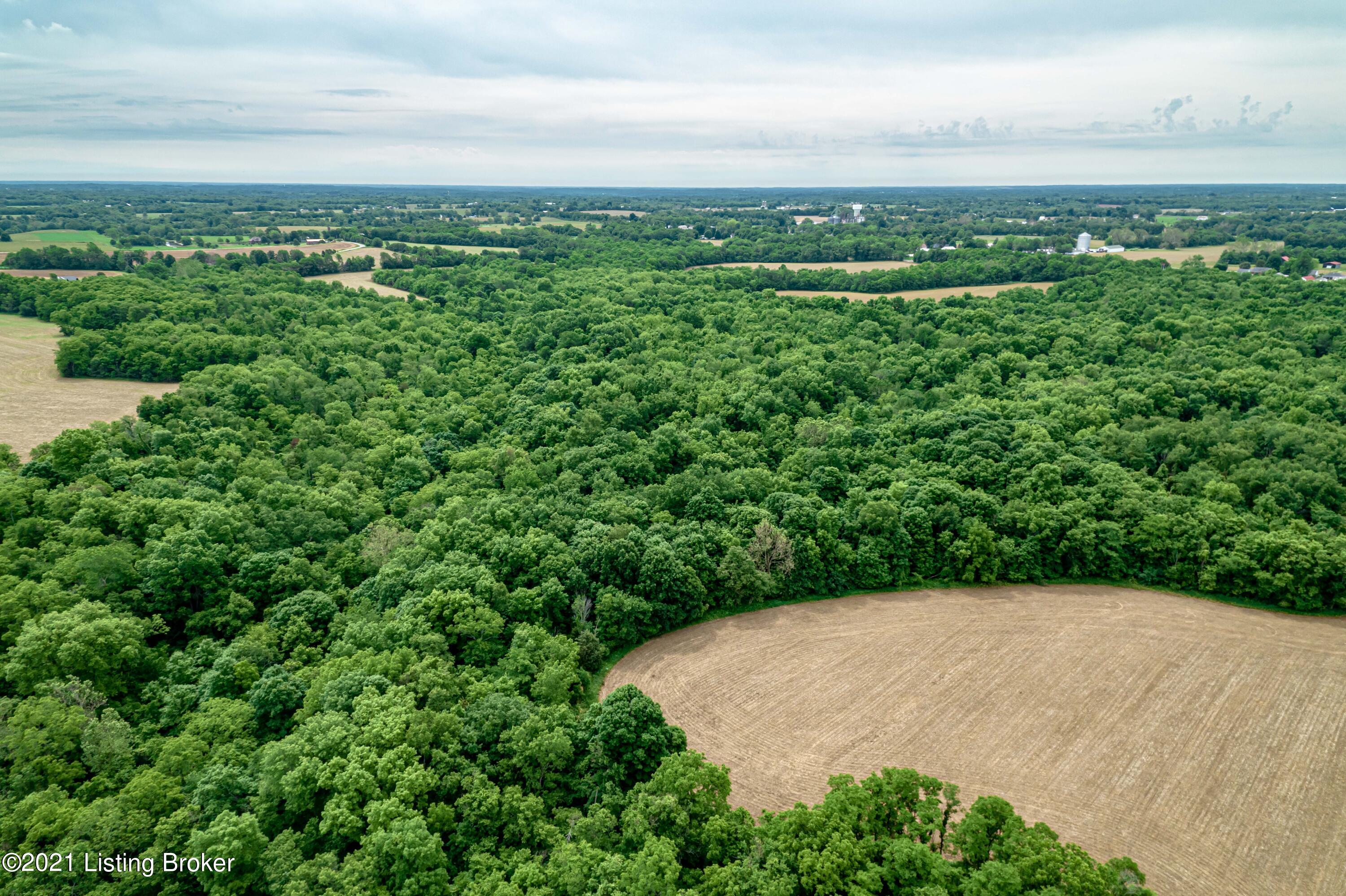 3900 Bagdad Road Bagdad, KY 40003 - Photo 31 of 36 DJI_0942