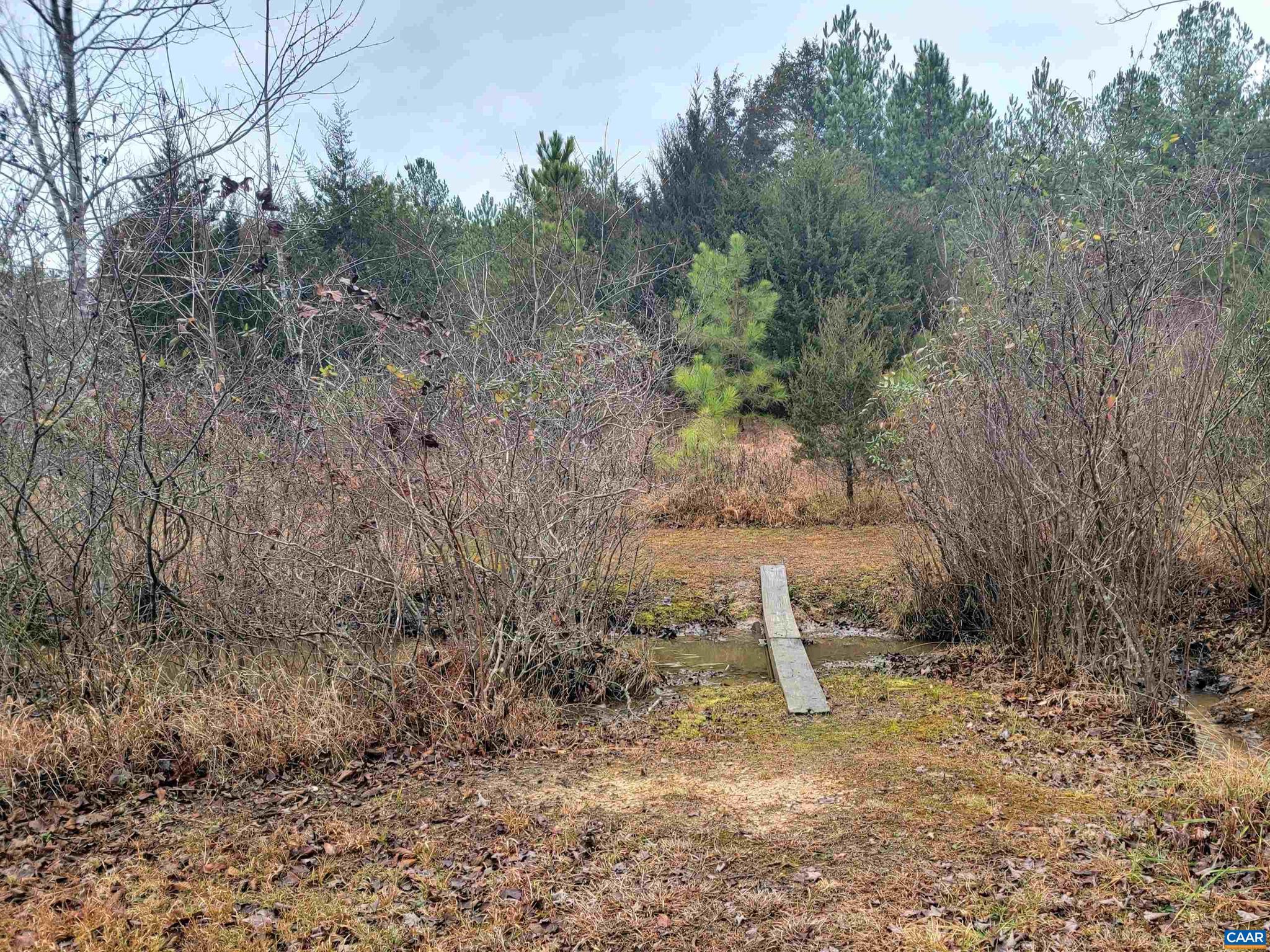 599 Landover Road Troy, VA 22974 - Photo 12 of 15