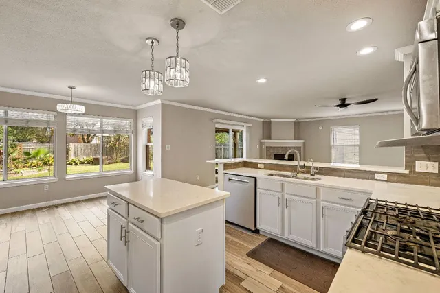 $2,850 | 3809 Tailfeather Drive, Round Rock, TX 78681