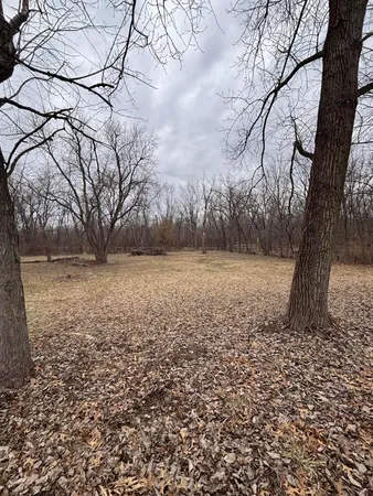 a view of a yard with a tree