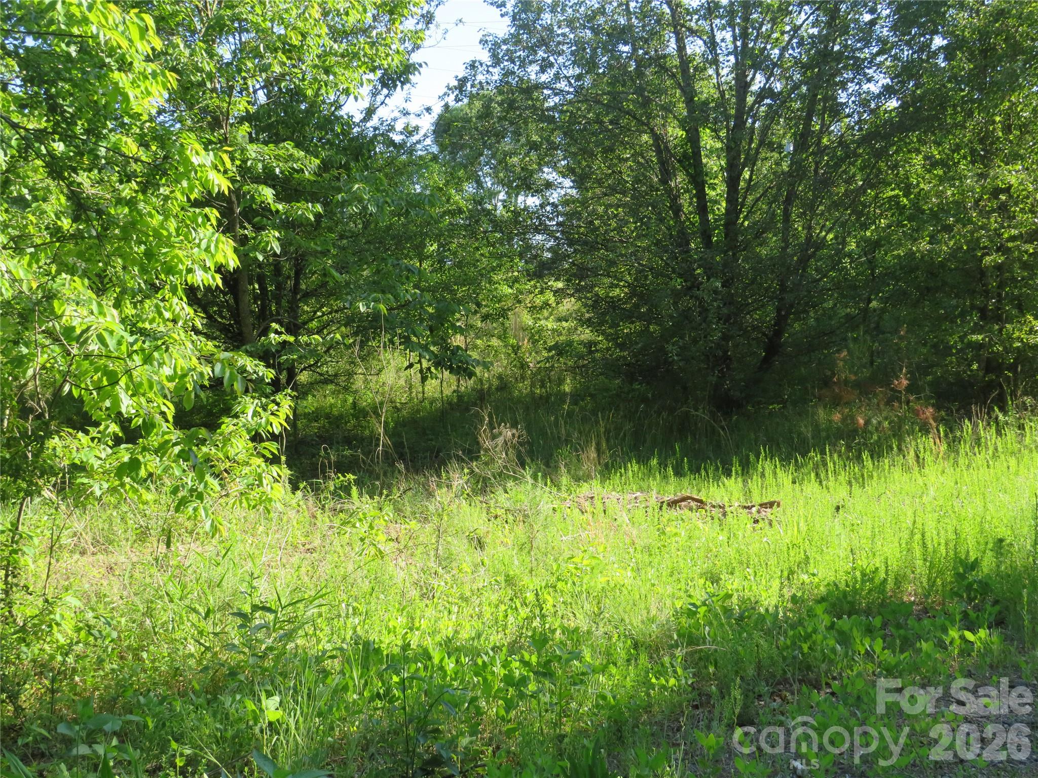 262 Flat Rock Road Forest City, NC 28043 - Photo 22 of 41
