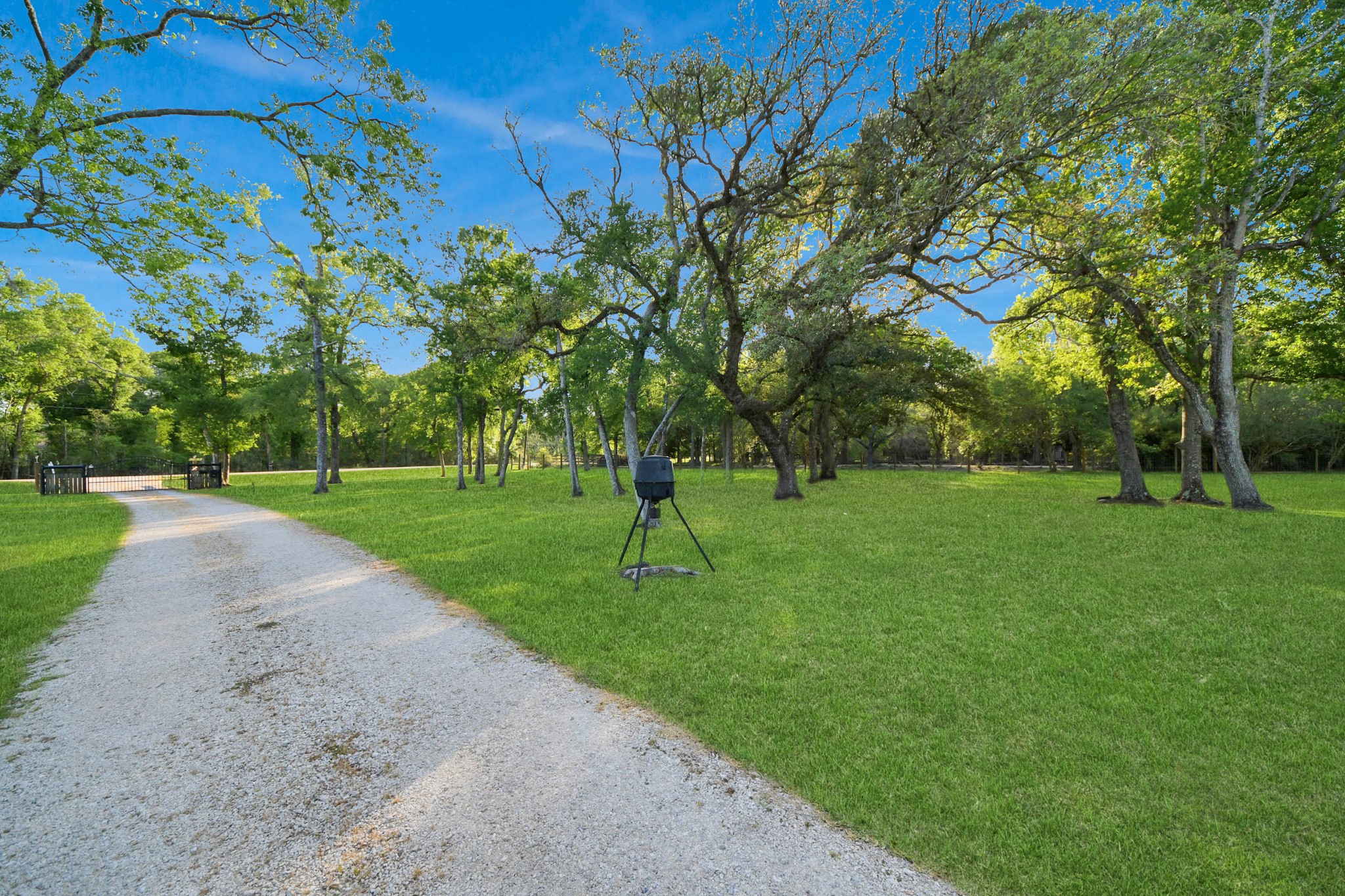 20202 Deer Run Road Damon, TX 77430 - Photo 44 of 45 a view of a park with large trees