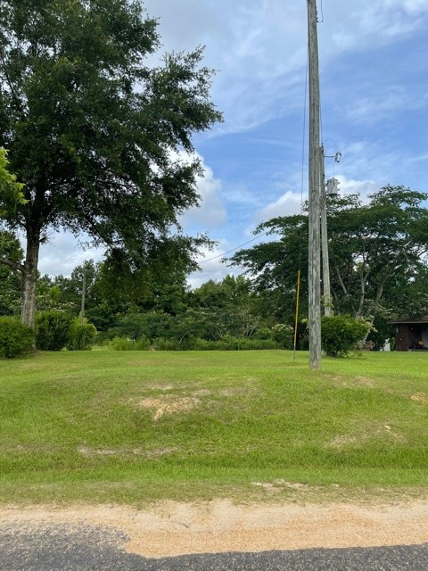 0 Mt Zion Road Osyka, MS 39657 - Photo 4 of 4 Photo 4