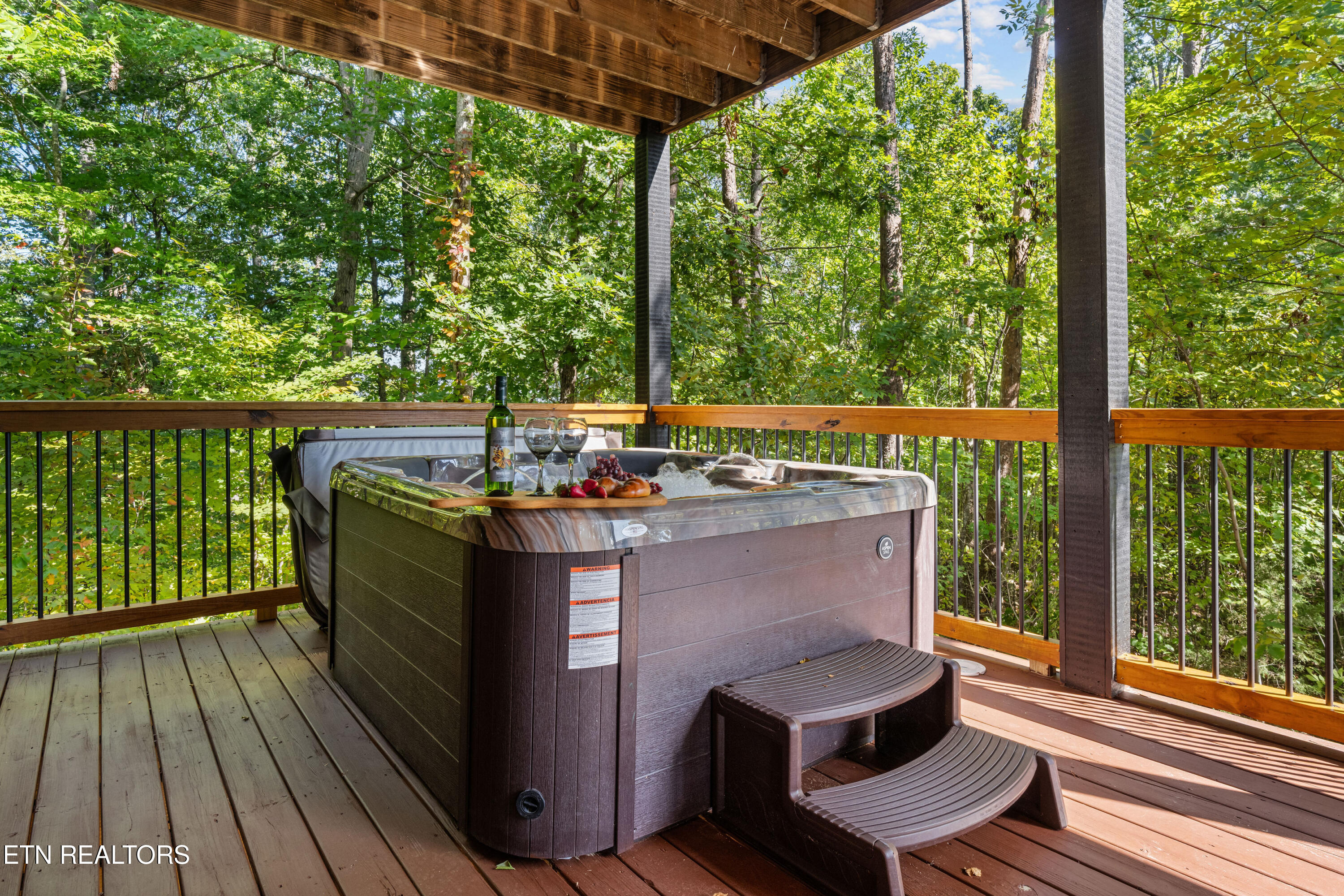 1854 Fantasy Way Sevierville, TN 37876 - Photo 34 of 59 soaring-ridge-38