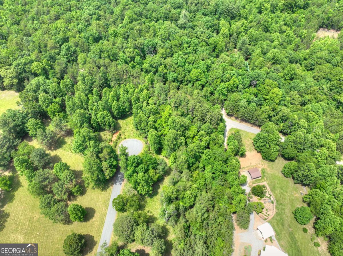 Lot 132 Fox Cove Road, Unit 132 Blairsville, GA 30512 - Photo 12 of 41