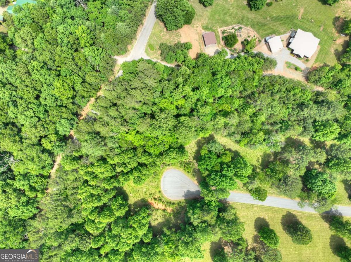 Lot 132 Fox Cove Road, Unit 132 Blairsville, GA 30512 - Photo 14 of 41 a close up of a plant in a garden