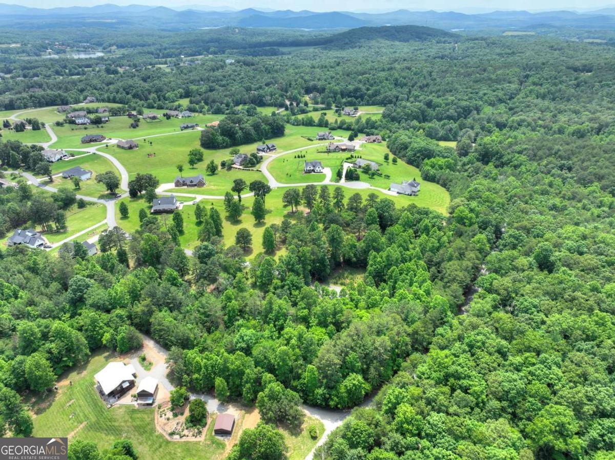 Lot 132 Fox Cove Road, Unit 132 Blairsville, GA 30512 - Photo 16 of 41 a view of a lush green field with lots of bushes