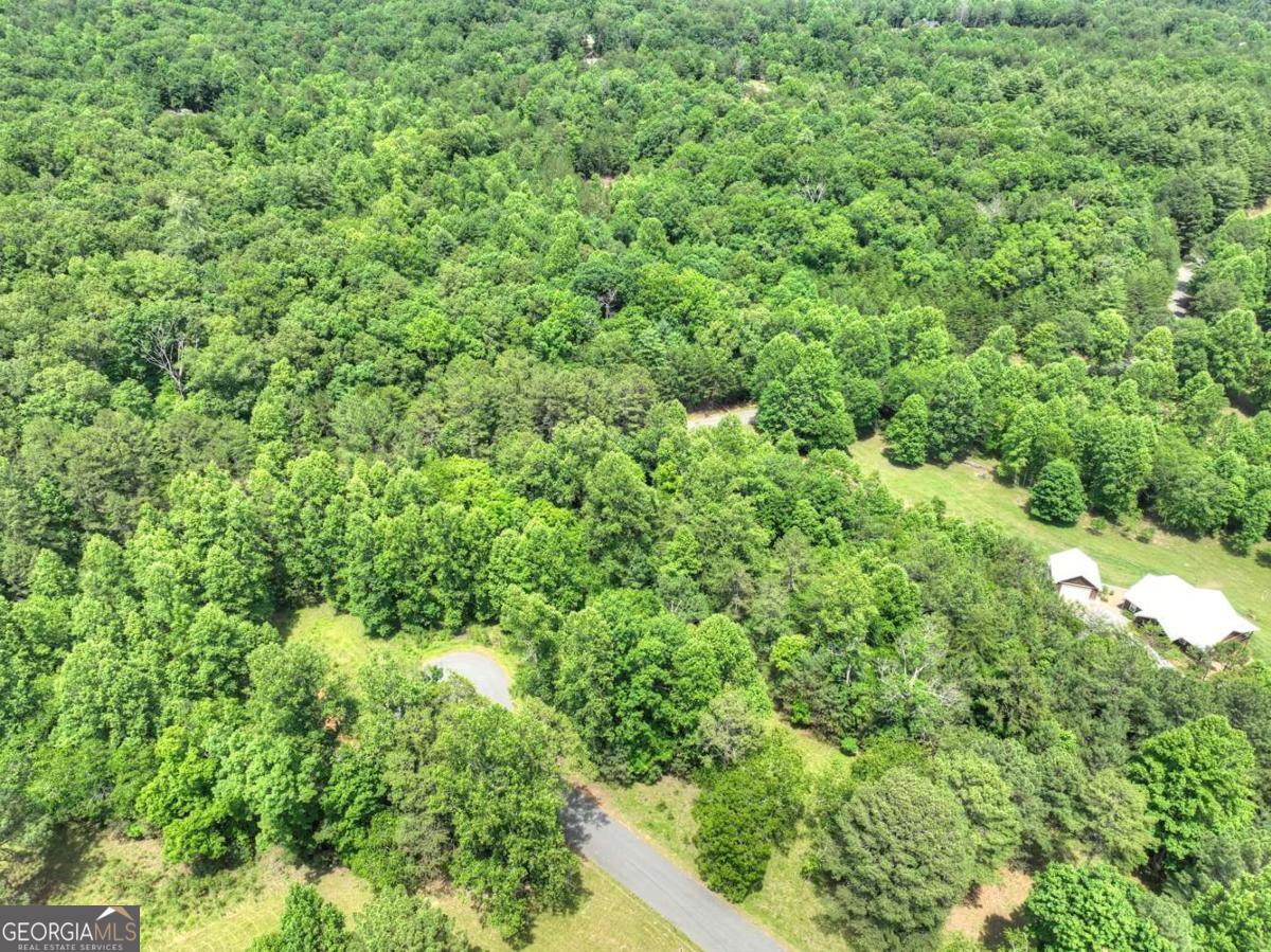 Lot 132 Fox Cove Road, Unit 132 Blairsville, GA 30512 - Photo 18 of 41 a view of a lush green forest with lots of trees
