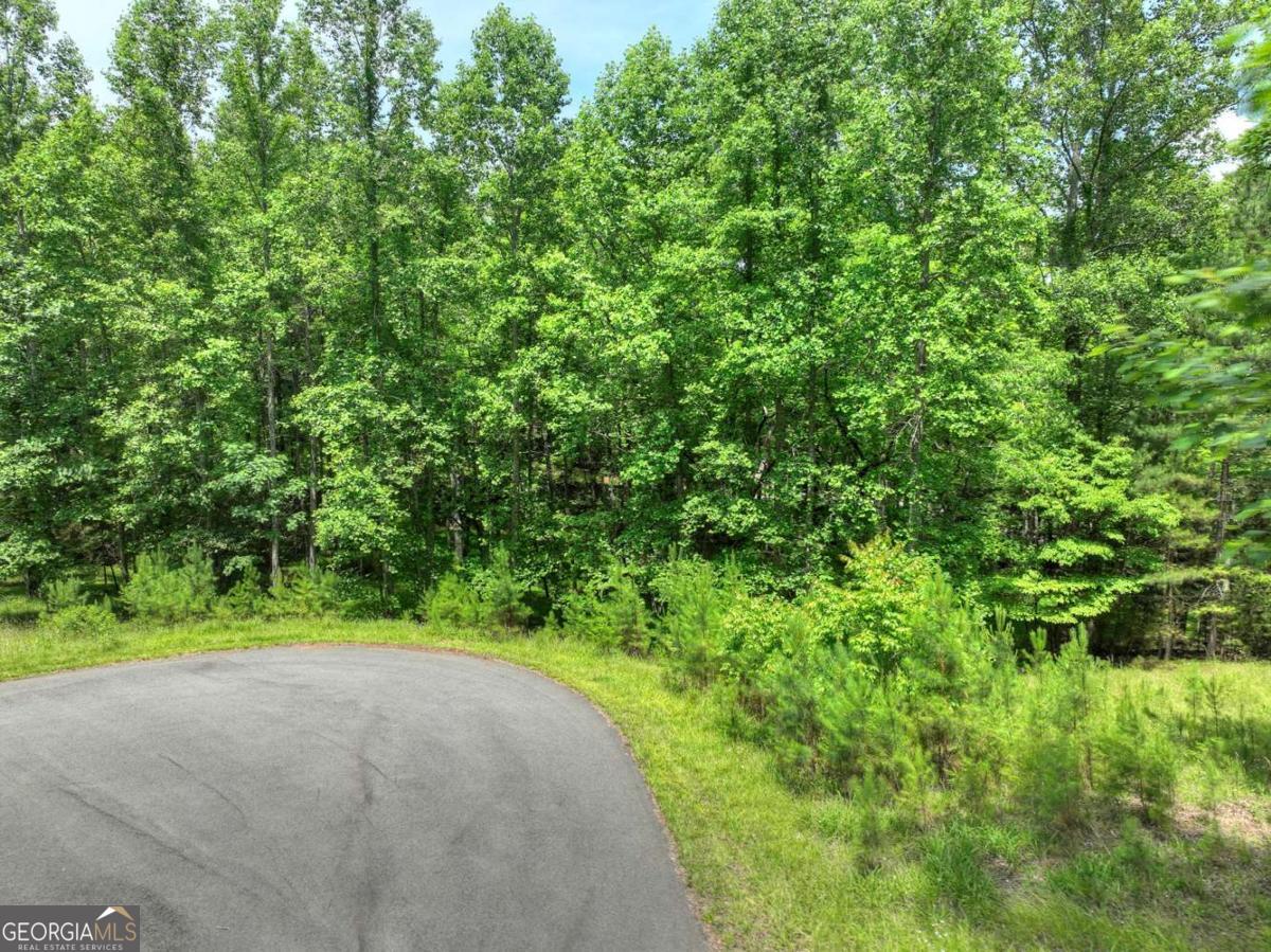 Lot 132 Fox Cove Road, Unit 132 Blairsville, GA 30512 - Photo 20 of 41 a view of a big yard with plants and large trees