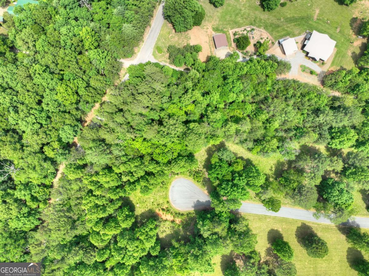Lot 132 Fox Cove Road, Unit 132 Blairsville, GA 30512 - Photo 2 of 41 a close up of a plant in a garden