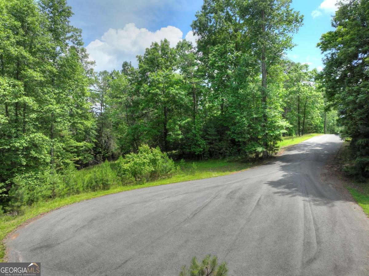 Lot 132 Fox Cove Road, Unit 132 Blairsville, GA 30512 - Photo 22 of 41 a view of road with grass and trees