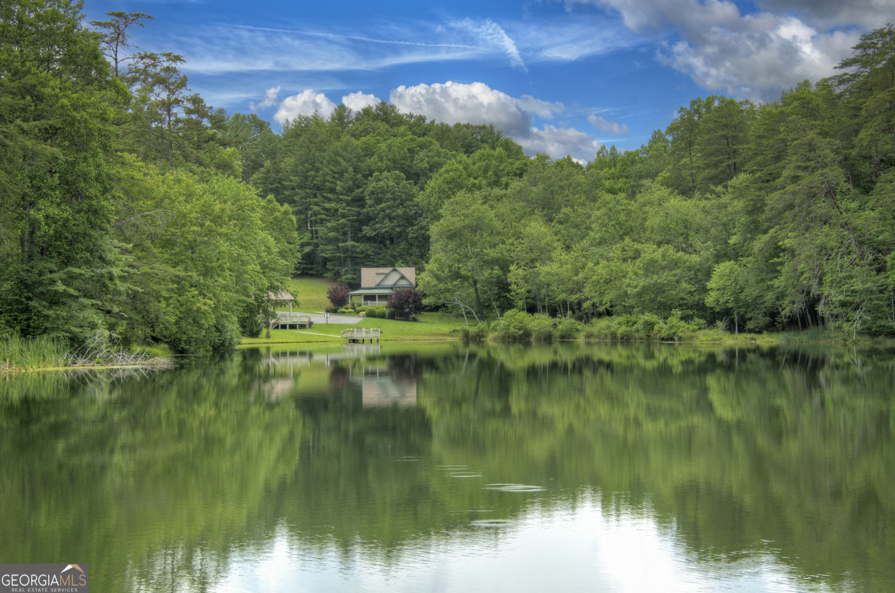 Lot 132 Fox Cove Road, Unit 132 Blairsville, GA 30512 - Photo 33 of 41 a view of a lake with a yard and large trees