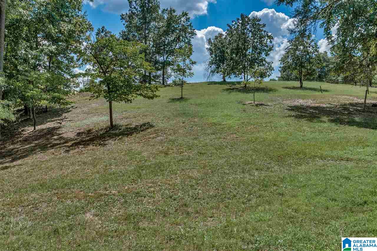 184 Jenkins Farm Road Helena, AL 35080 - Photo 23 of 25
