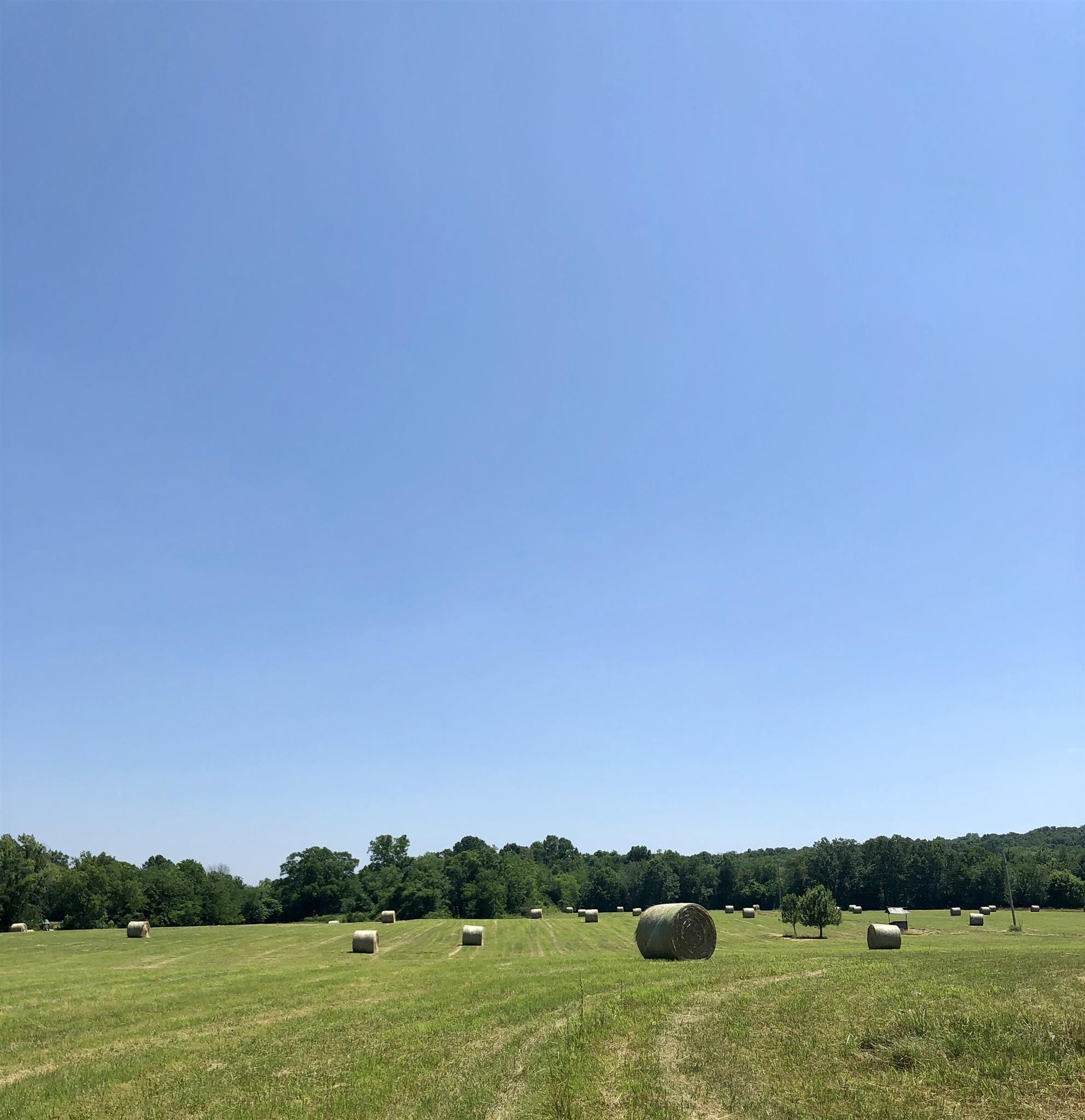 2634 Round Hill Road Lewisburg, TN 37091 - Photo 15 of 16 Rolling fields and hay bales