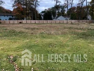 a view of a yard