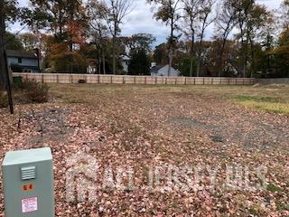 64 Richard Road Edison, NJ 08820 - Photo 3 of 10 a view of a backyard with trees