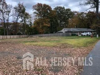 a view of a yard with a trampoline