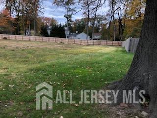 64 Richard Road Edison, NJ 08820 - Photo 5 of 10 a view of a yard with large trees